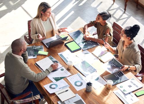 ESG Assistance, Advisor, Consulting Programs