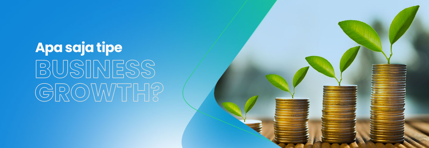 Types of Business Growth