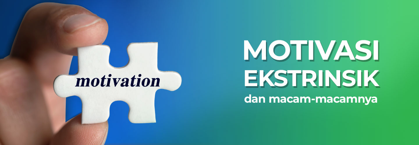 Extrinsic Motivation and its Various Types